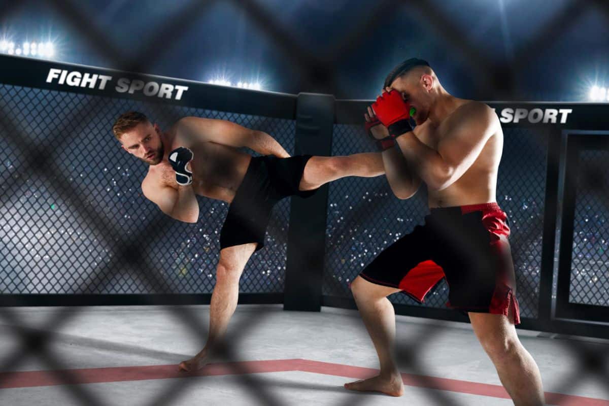 Deux boxeurs en combat