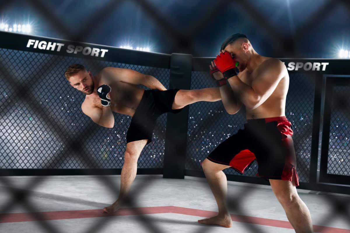 Deux boxeurs en combat